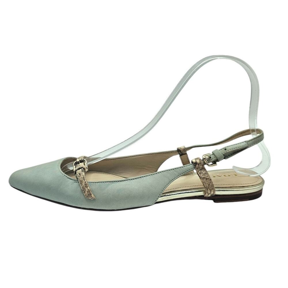 Coach Wooster Blue Green Snakeskin Leather Slingback Pointed Toe Flats
